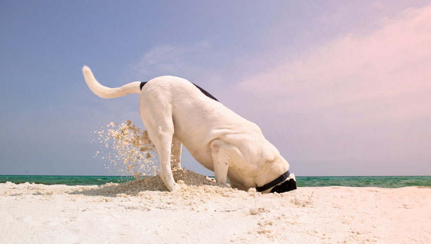 Dig deeper for more meaningful relationships image