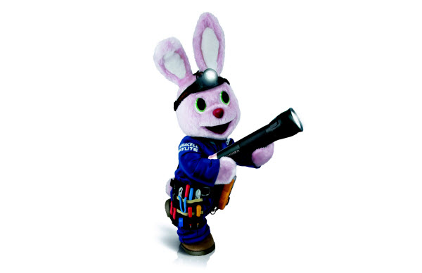 Duracell Professional