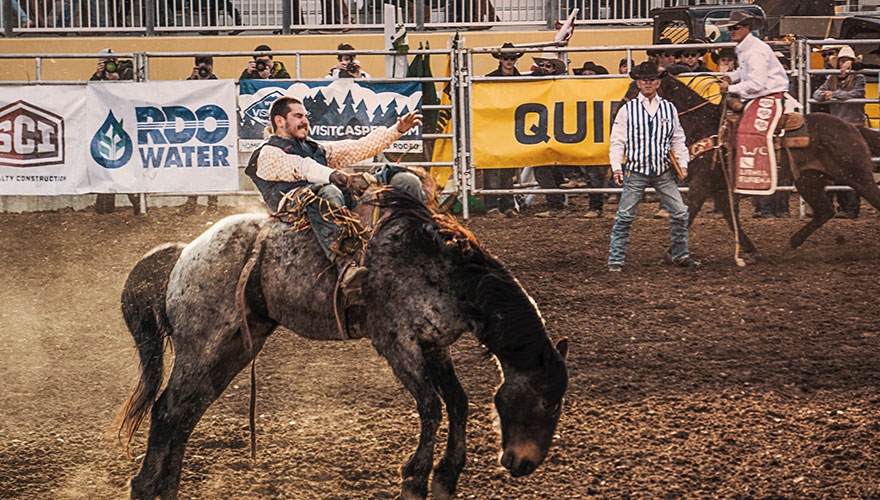 Rodeo horse bucking image