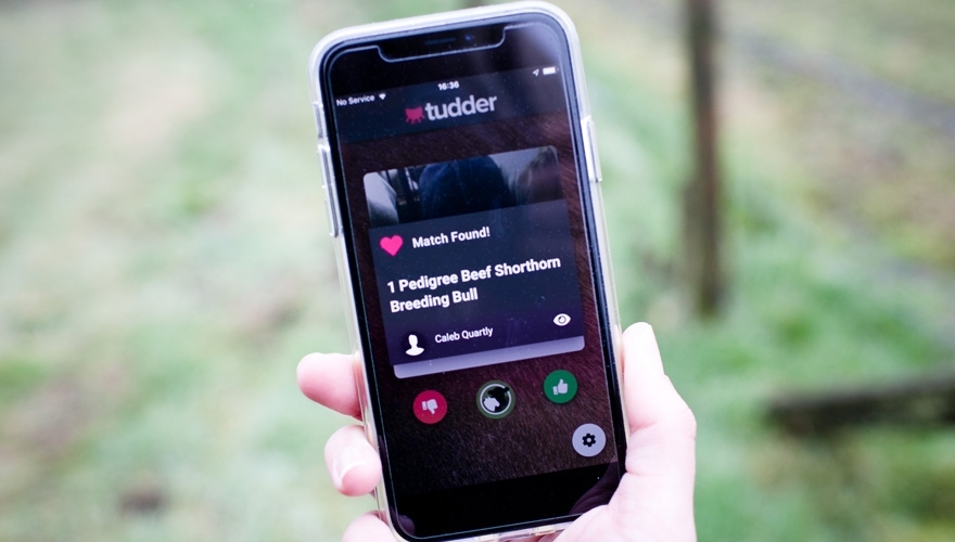 tudder app