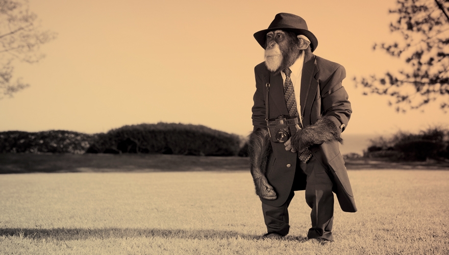 Your economists can’t save you now – the B2B fallacy and the pitfalls of presuming rational thinking in marketing image