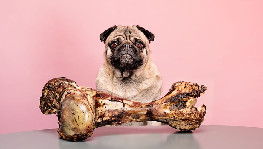 Are B2B companies missing a trick when it comes to customer loyalty?