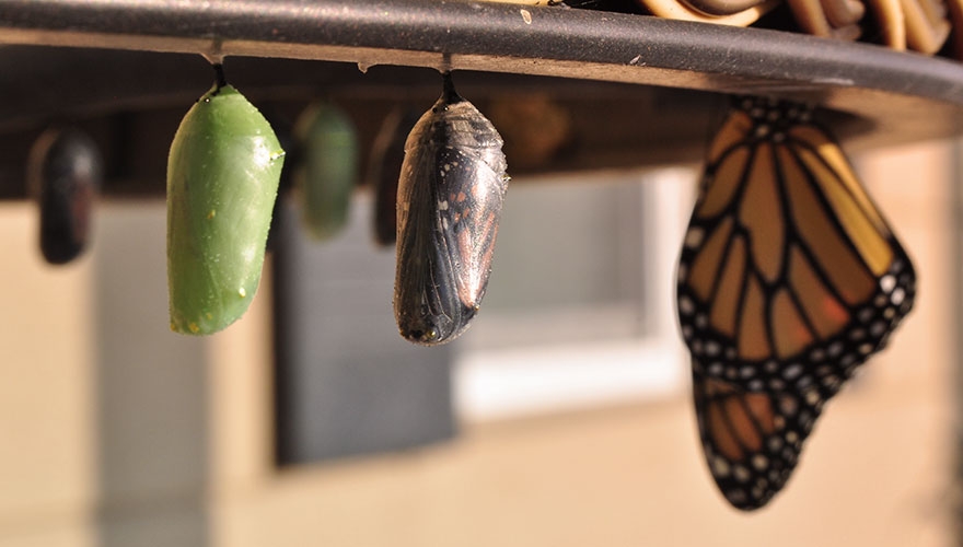 How to survive the evolution of demand generation image