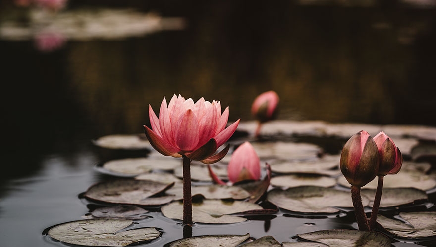 How a culture focused on aftercare drives iterative improvement at Turtl image