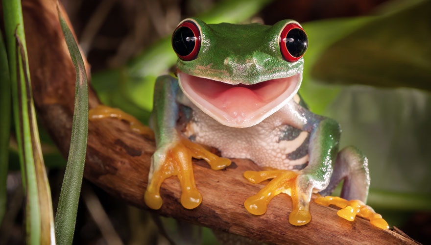 Funny business: 7 tips to add humour to your next B2B campaign image