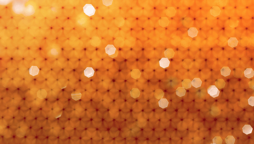 Populating the hive: How to encourage internal CRM adoption image