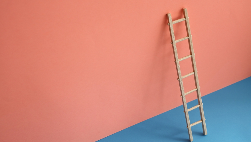 ladder