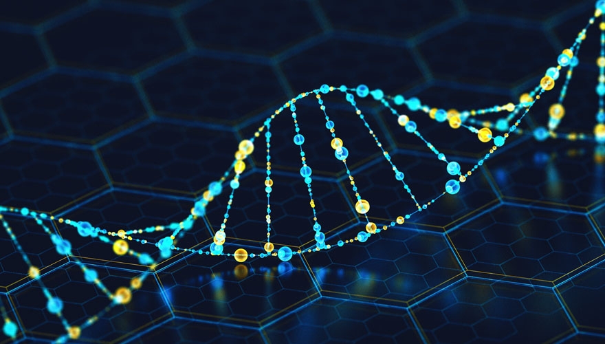 DNA strand