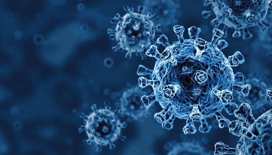Q&A with marketer and virologist, Sarah Thomas