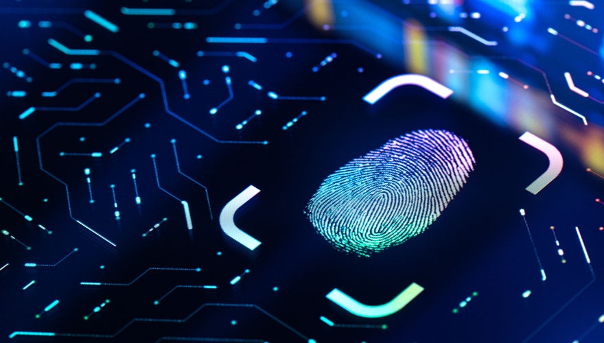 personalisation in b2b marketing