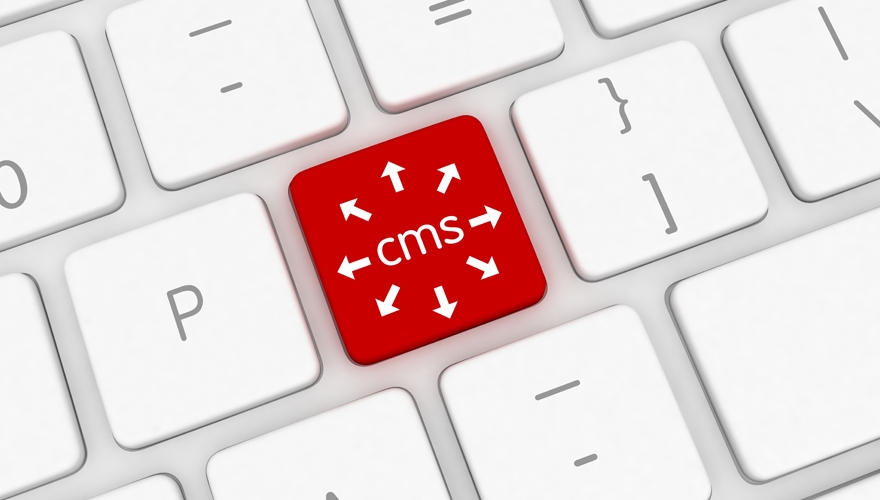 CMS service