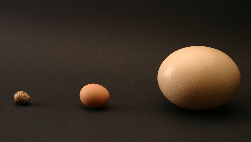 It is time B2B marketers focus on the M in SME image