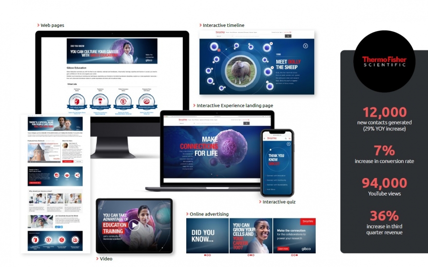 B2B Marketing Elevation Awards winner