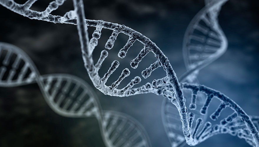 Segmentation and the art of data science