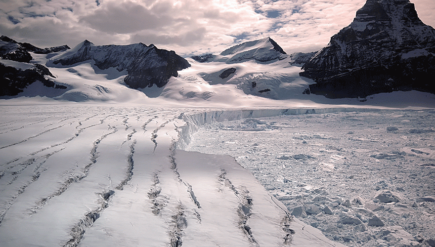 What 20th century Antarctic explorers can teach us about 21st century marketing