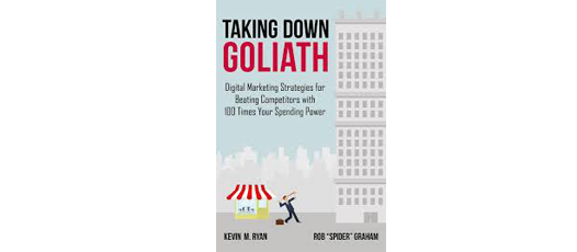 Taking down goliath book review