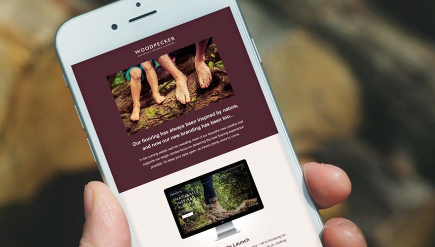 Awards case study: How Woodpecker Flooring's rebrand increased sales revenue by 22% image