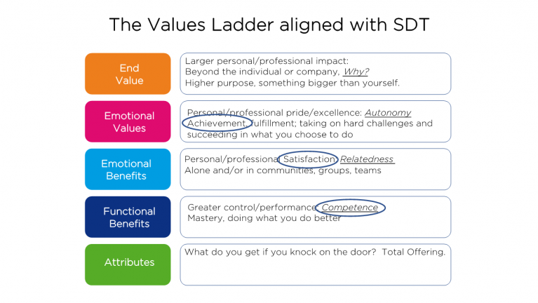 SDT