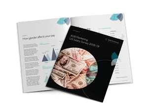 B2B Marketing US Salary Survey 2019 B2B Marketing US Salary Survey 2019