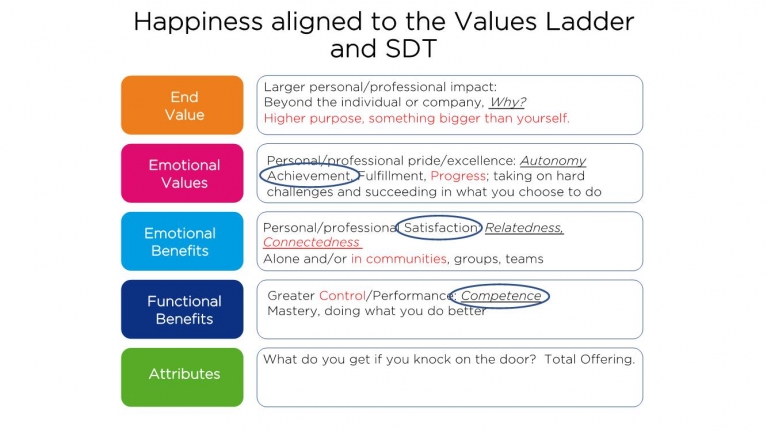 Values Ladder Diagram