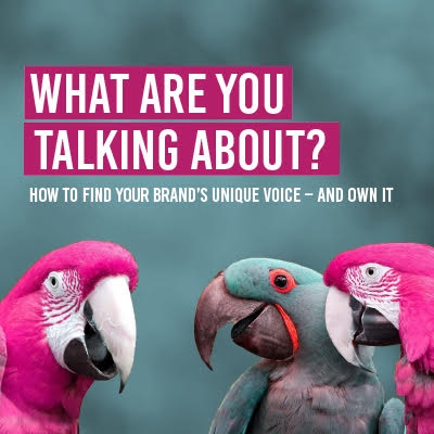 What are you talking about?